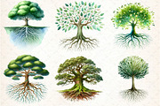 Green Watercolor Tree With Roots Cli, an Illustration by DreamCafeArt (Thumbnail 3 of 7)