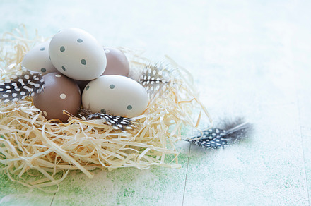 Easter eggs in straw nest, a Holiday Photo by Olena Rudo
