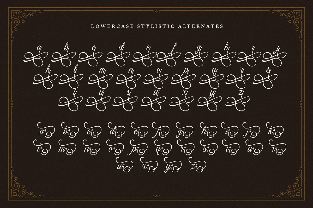 Bristok Lemonade - Cursive Script, a Script Font by Variatype (Photo 13 of 15)
