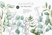 Eucalyptus Line Art And Watercolor, a Decorative Illustration by ElenaPlatovaArt (Thumbnail 1 of 10)
