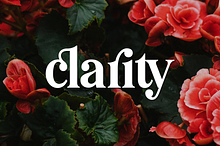 Pioggia | Modern Serif