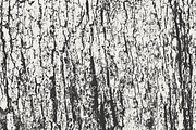 Tree Bark Textures, a Texture Graphic by GhostlyPixels (Thumbnail 5 of 9)