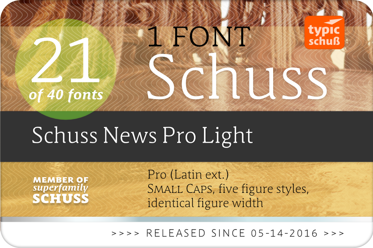 SchussNewsProLight No.21 (1 Font) preview 2