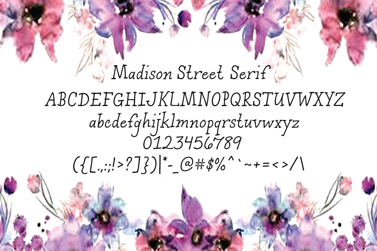 Madison Street Serif, a Serif Font by STUDIOWAYS (Photo 2 of 4)
