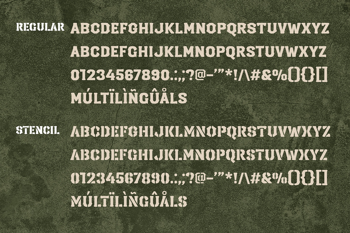 Unthroned – Versatile Military Font, a Serif Font by Almarkhatype (Photo 10 of 11)