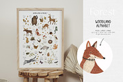 Forest animals. Alphabet & Patterns, an Animal Illustration by annartdreams (Thumbnail 3 of 11)