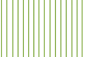Seamless pattern, vertical green stripes creating a seamless graphic pattern on, a Pattern Graphic by Studio ANNA