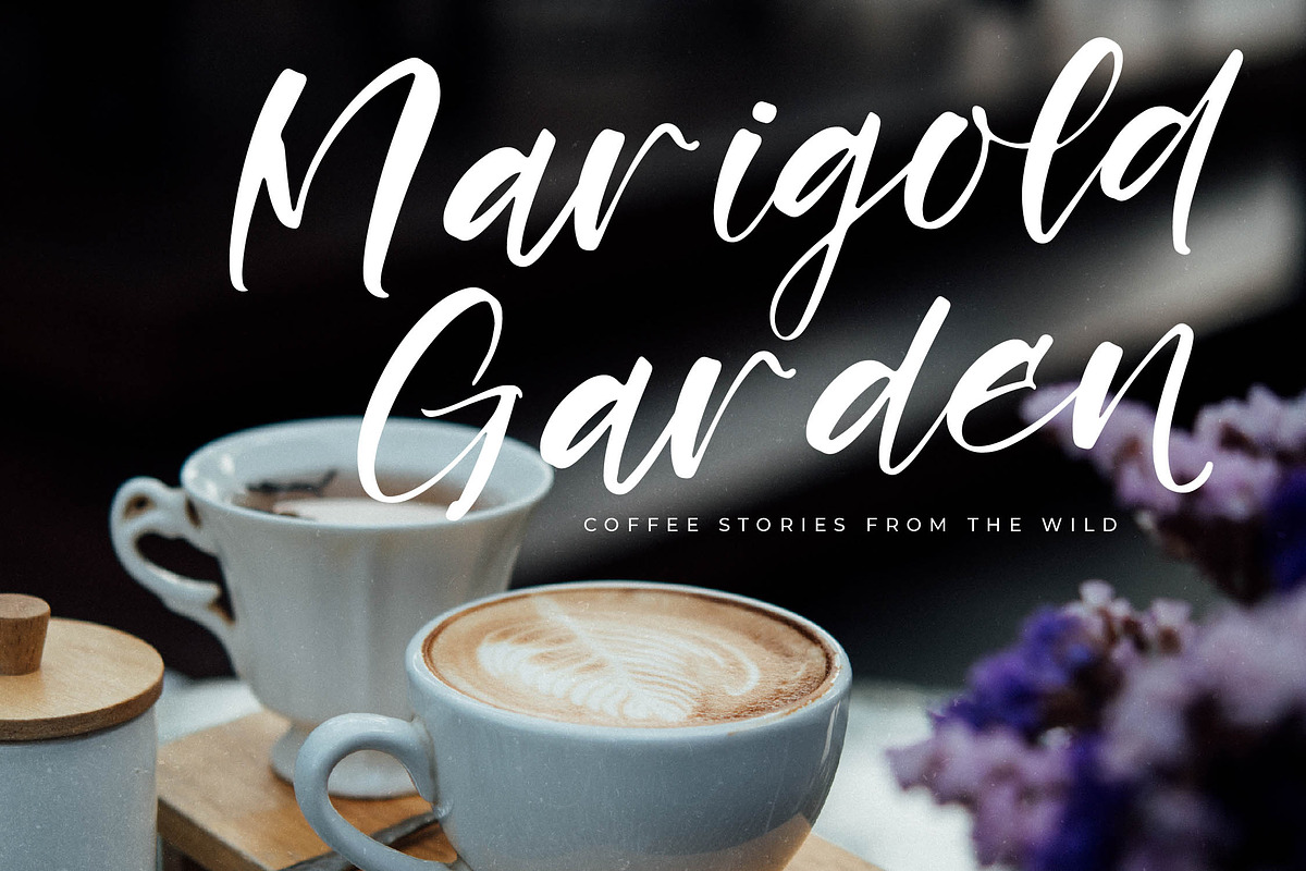 Rustling Kingdom Modern Script Font, a Script Font by Letterena Studios Script (Photo 5 of 15)