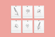 Floral Bows Vector Illustrations, a Decorative Illustration by Emma Webb Studio (Thumbnail 7 of 7)