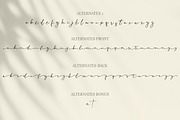 Rose Madina, a Serif Font by Struggle Studio (Thumbnail 10 of 12)