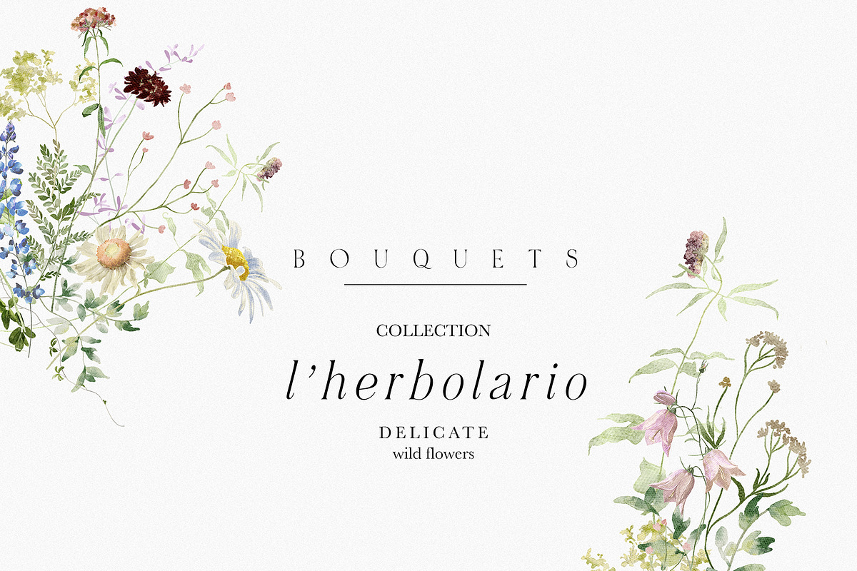 l'Herbolario - Wild Floral Graphics, an Illustration by studioequinox (Photo 4 of 14)