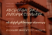 Kamelina Handwritting, a Script Font by Olexstudio (Thumbnail 7 of 7)