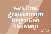 5th Avenue - Fancy Typeface, a Serif Font by 50Fox (Thumbnail 2 of 38)