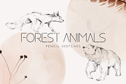 Charming forest - BUNDLE 4 in 1, a Decorative Illustration by Yuliia Lashevska (Thumbnail 20 of 26)