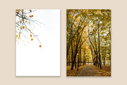 Fall Collection 2, a Beauty & Fashion Photo by Floral Deco (Thumbnail 7 of 7)