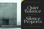 Sainer Bagora Modern Serif, a Serif Font by timelesstype.co (Thumbnail 11 of 20)