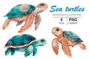 OCEAN BUNDLE, an Animal Illustration by Evgeniia (Thumbnail 11 of 16)