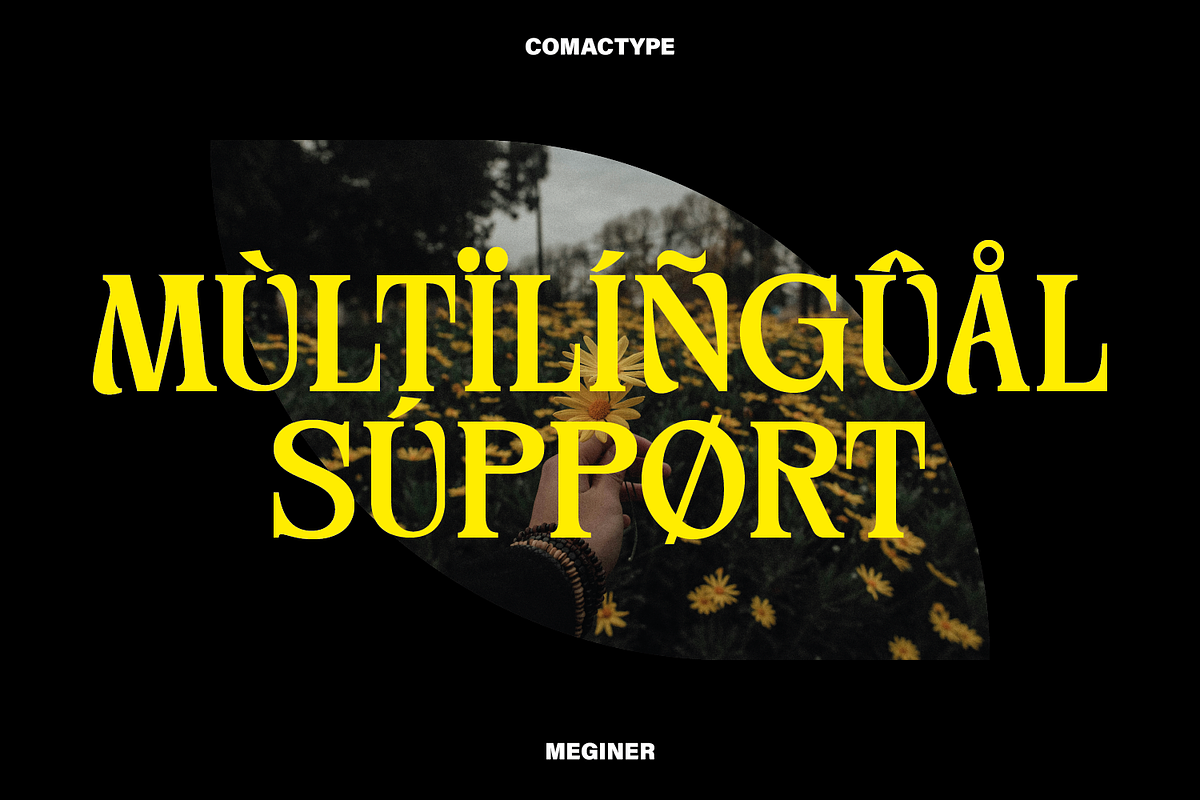 Meginer Nineties - Modern Serif, a Serif Font by Comactype Foundry (Photo 20 of 22)