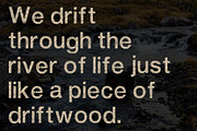 Driftwood Font, a Sans Serif Font by Kohl + Cole (Thumbnail 5 of 5)