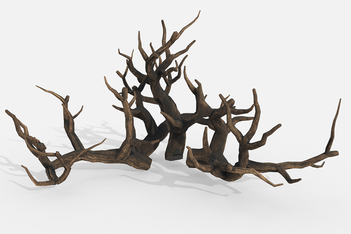 Aquarium Snag Banches V1, an Environmental 3D Model by AndrewWhite (Photo 2 of 8)