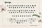 Bunga, a Serif Font by Burntilldead (Thumbnail 5 of 14)