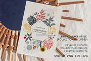 Adaptogenic & Medicinal Plants Set, a Healthcare Illustration by Yevheniia (Thumbnail 9 of 9)