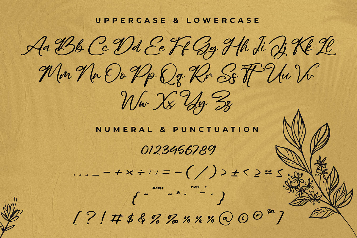Realmejo Bellame, a Script Font by Integritype Studio (Photo 9 of 15)