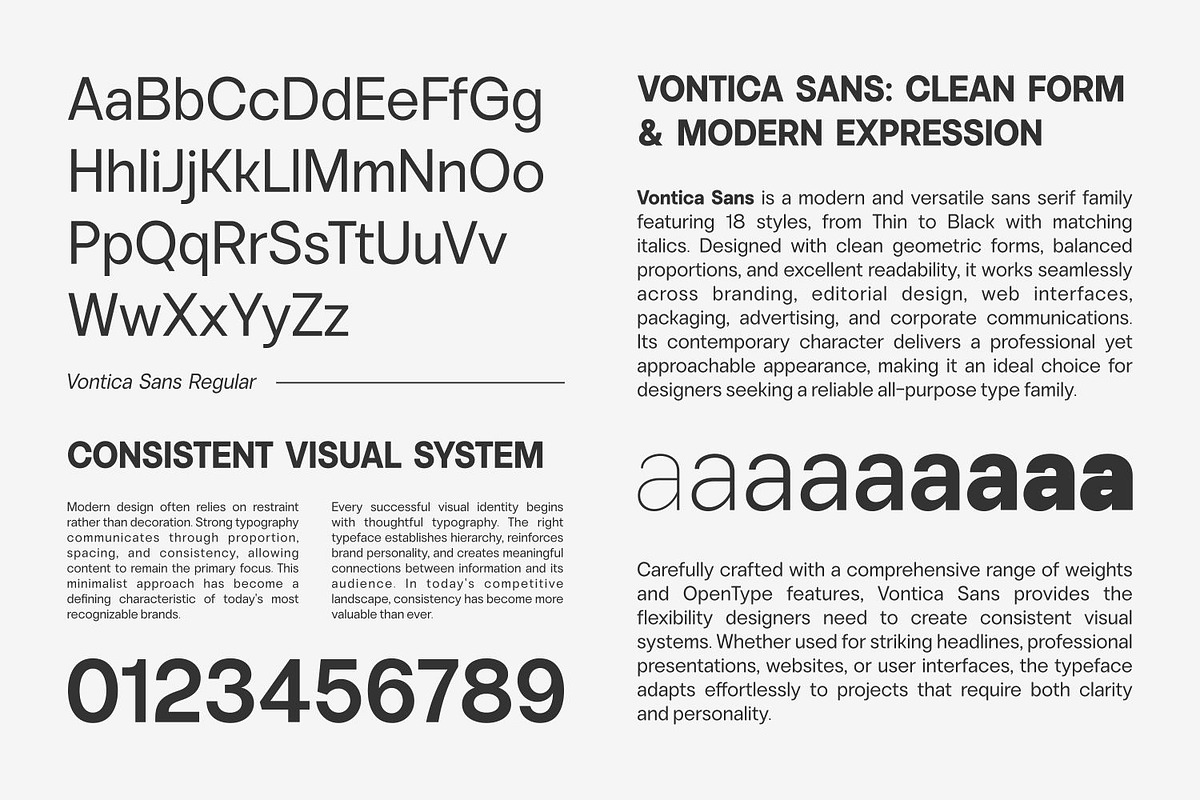 Vontica Sans Font Family, a Sans Serif Font by Asenbayu (Photo 6 of 15)