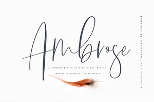 Ambrose Font