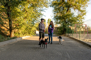 Man and daughter standing with dogs, an Animal Photo by Elena Vagengeim