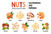Nuts collection, a Food Illustration by Stolenpencil (Thumbnail 1 of 5)