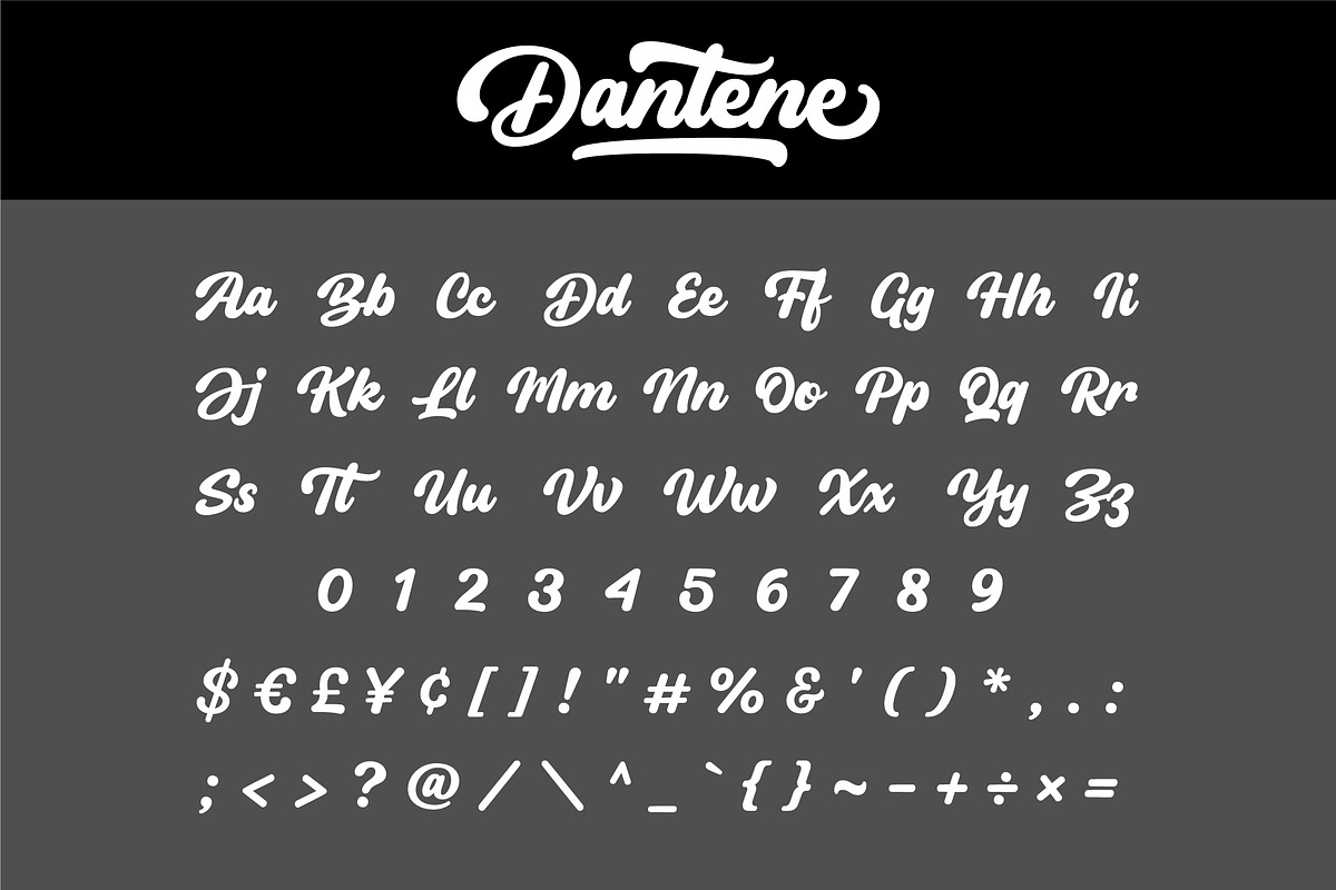 Dantene - Modern Calligraphy Font, a Font by Grezline Studio (Photo 11 of 13)
