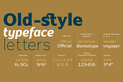 Naveid Elegant Cupped Serif Font, a Serif Font by Namela Studio (Thumbnail 5 of 6)