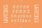 TAN - ASTORIA, a Serif Font by TanType (Thumbnail 18 of 21)