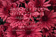 Peonyrose, a Script Font by Esui Studio (Thumbnail 3 of 4)