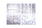 Winter Blurred background, a Nature Photo by WildStrawberry Magic (Thumbnail 4 of 9)