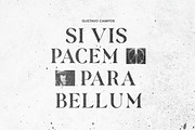 Hartens - Serif Script Font Duo, a Serif Font by Bale Type (Thumbnail 5 of 13)