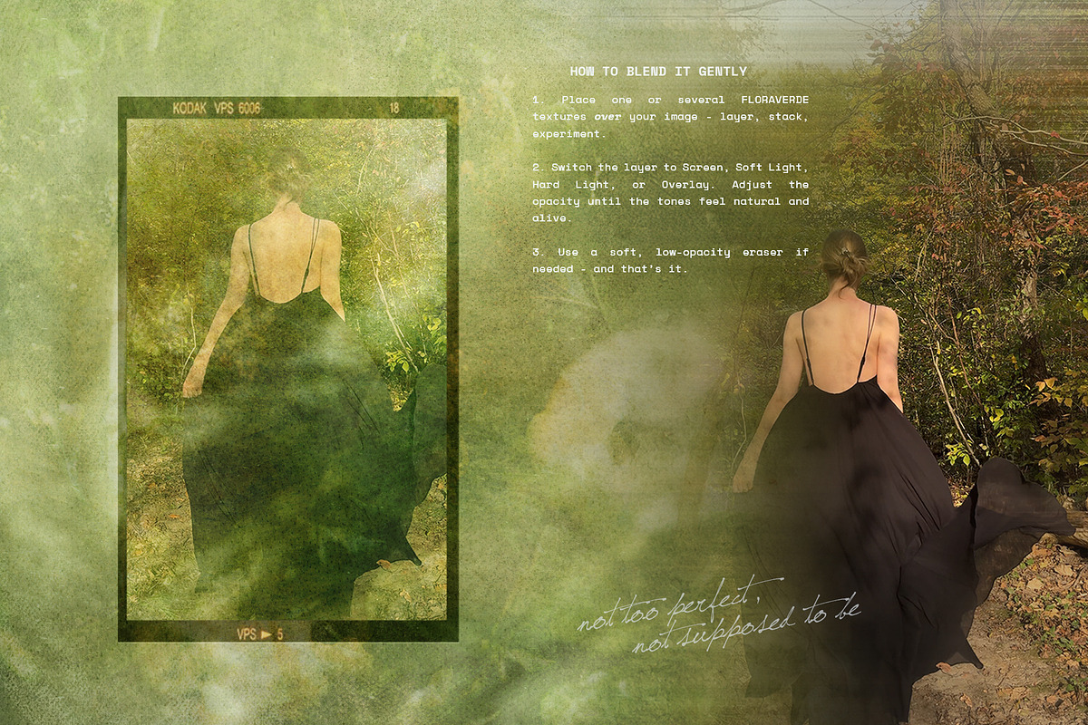 FloraVerde: Botanical Backgrounds, a Background Graphic by alonahaidash (Photo 8 of 12)