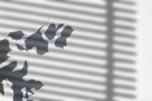 Shadows from a branch with leaves and blinds on a light wall., a Background Photo by ndanko