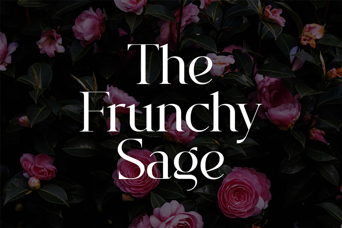 Ignacio Maverick Elegant Serif Font, a Serif Font by UICreative (Photo 2 of 13)