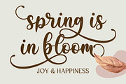 Babylone | Modern Calligraphy, a Script Font by Almeera Std (Thumbnail 2 of 11)