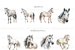 Racing Horse Clipart, Horse Breeds