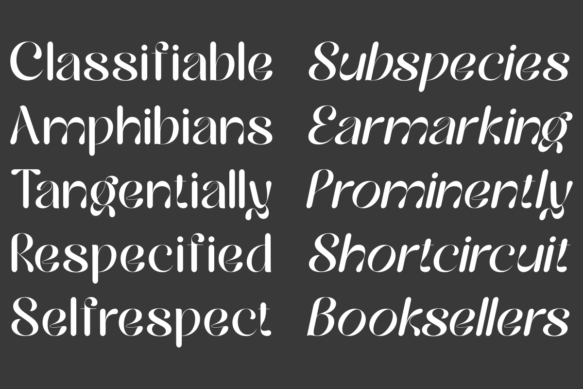 Hailing, a Sans Serif Font by zaaintype (Photo 10 of 14)