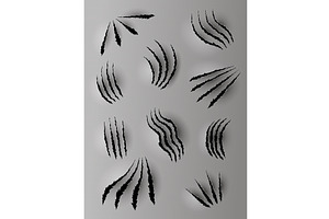 Bear or tiger claw marks, an Animal Illustration by Things for designers