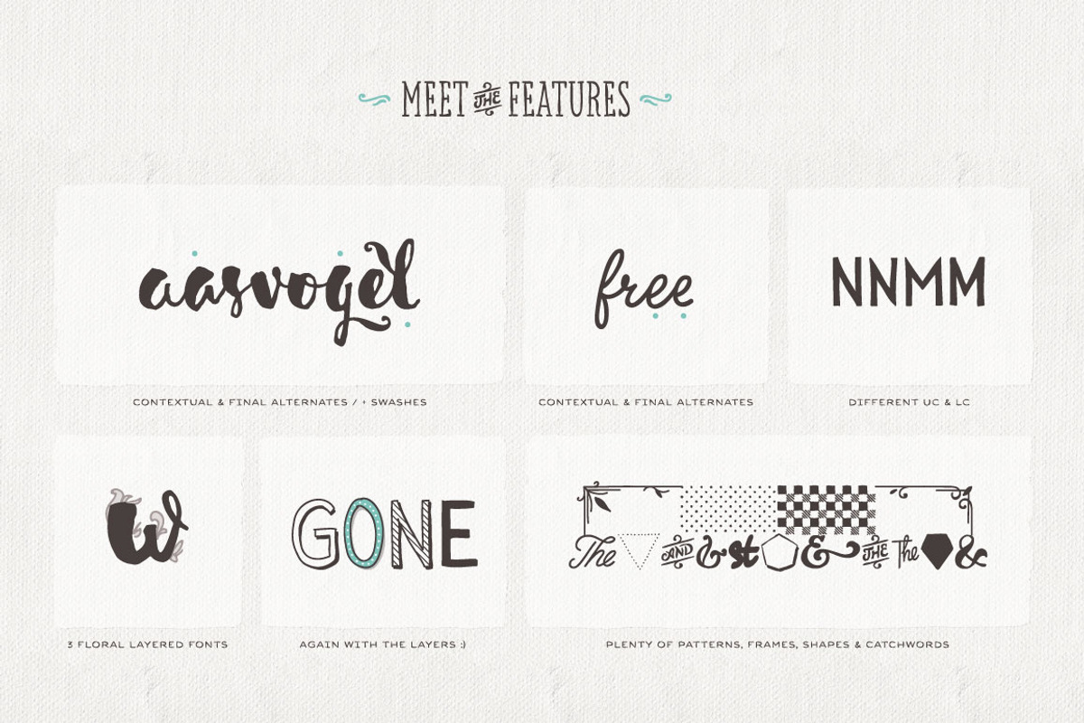 Sensa Family, a Script Font by Fontfabric (Photo 4 of 7)