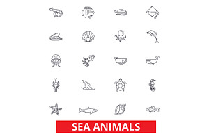 Sea Animals, Ocean Creatures, Dolphin, Octopus, Wild Life, Shark, Whale, Fish Line Icons. Editable Strokes. Flat Design Vector Illustration Symbol Con