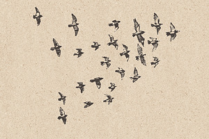 Flocks Of Birds, Sketch Style