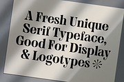 MTC Granfise - A Unique Serif, a Serif Font by Martype (Thumbnail 3 of 12)