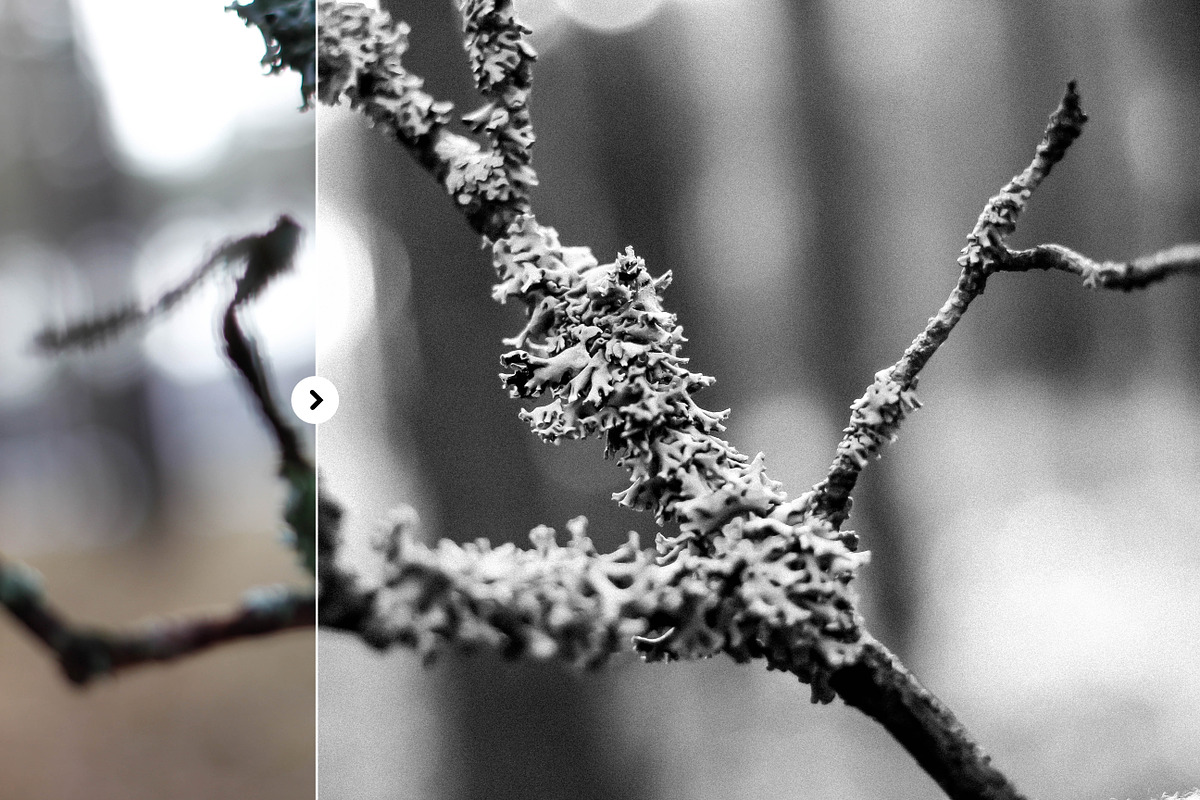 Bright colors - 15 lightroom presets preview 4