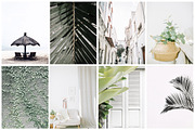 Aesthetic Pastel Styled Stock Photos, a Background Photo by Floral Deco (Thumbnail 8 of 39)